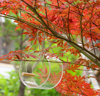 Buy Acrylic Bird Food Box – Easy-to-Use Feeder for Your Birds global swanky 2