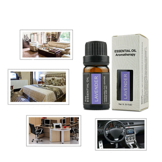 Buy Aromatherapy Candle Essential Oil Fragrance Box Ginger Rose global swanky 2