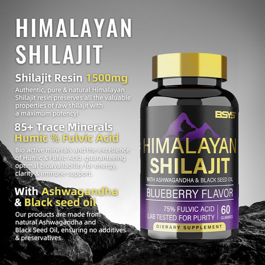 Buy BSYS Shilajit Gummies 60's – Herbal Supplement for Vitality globalswanky 02