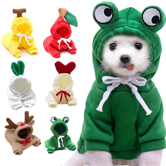 Buy Cute Fruit Dog Clothes for Small Dogs | Warm Fleece Hoodie global swanky 3