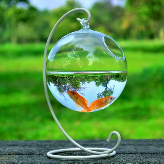 Buy Decorative Hanging Glass Fish Tank for Home & Office Decor globalswanky 01