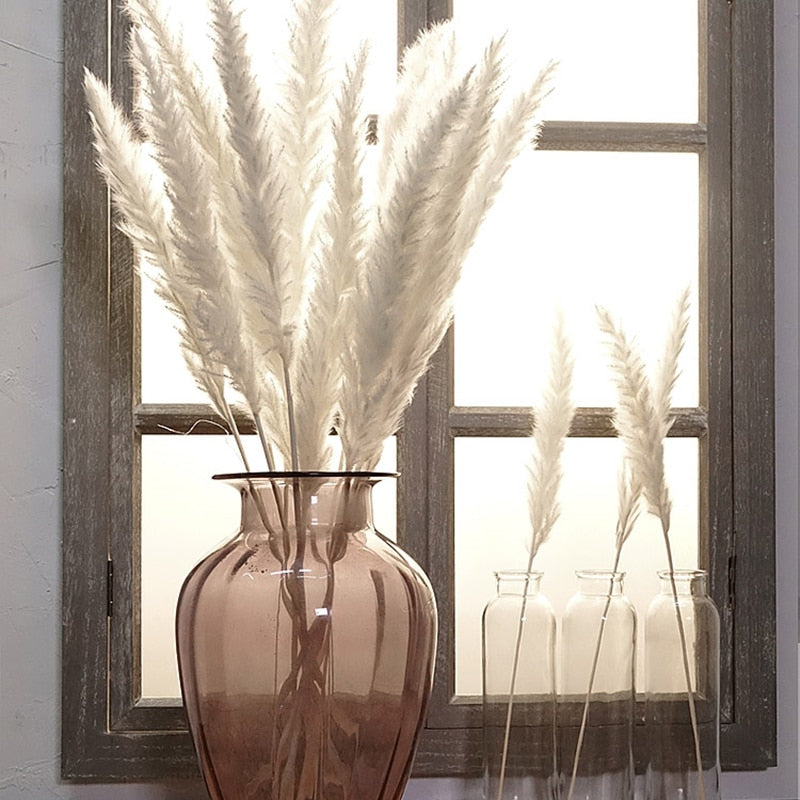 Buy First Reed Dried Flower Home Decoration Stylish Interior Art
Global swanky 1