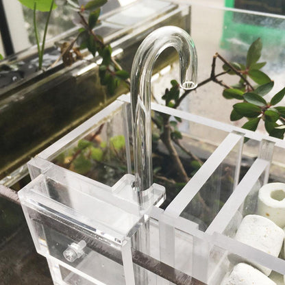 Buy Fish Tank Wet Filter Box – Easy Separation for Aquariums global swanky 2
