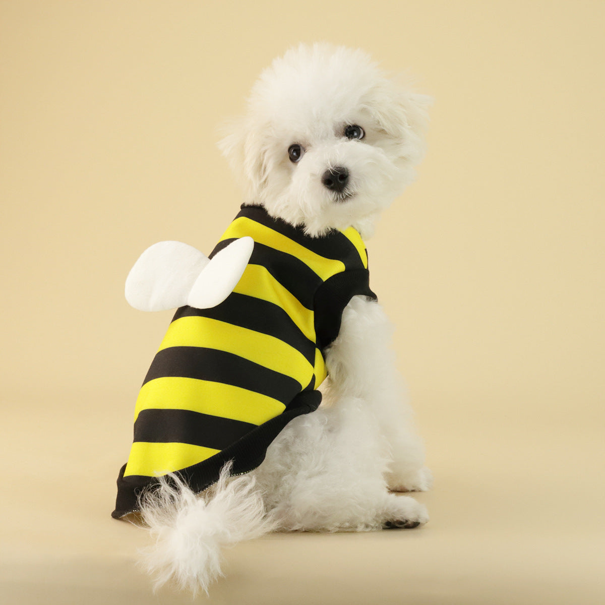 Buy Frog Dog Small Medium Sweater Fleece Pet Clothes Online global swanky 2