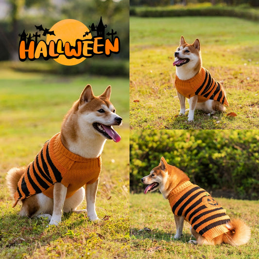 Buy Halloween Dog Sweater Teddy Costume Warm Pet Outfit Online globalswanky 01