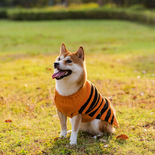 Buy Halloween Dog Sweater Teddy Costume Warm Pet Outfit Online globalswanky 02