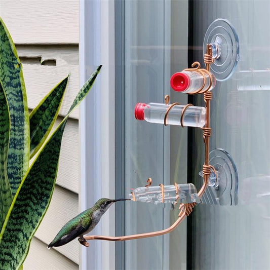 Buy Hummingbird Feeder Suction Cup Easy Clean Garden Bird Decor globalswanky 01