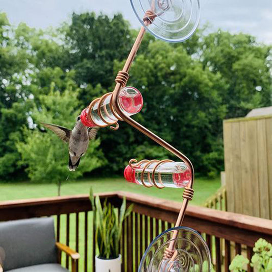 Buy Hummingbird Feeder Suction Cup Easy Clean Garden Bird Decor globalswanky 03