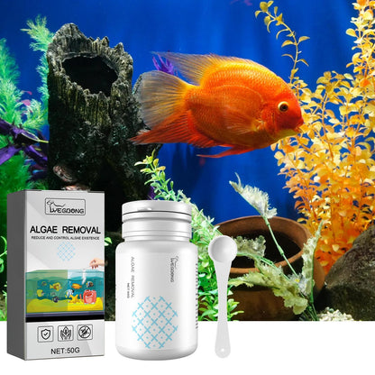 Buy Igbondigal Lichen Aquarium Algae Remover Cleaning Supply globalswanky 02