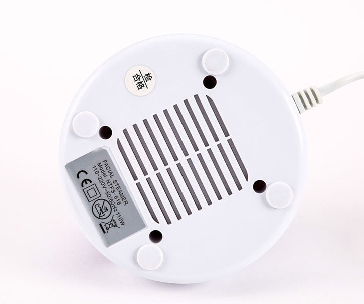 Buy Ion Hot Spray Steamer for Home Facial Steam Beauty Care global swanky 2
