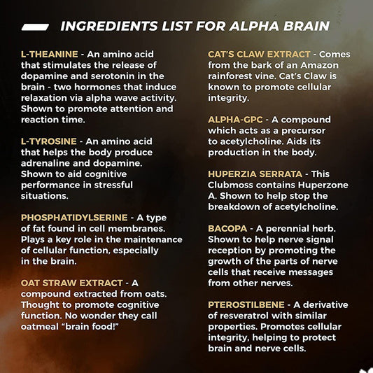Buy L-Theanine Brain Supplement for Focus, Calmness, and Clarity global swanky 2