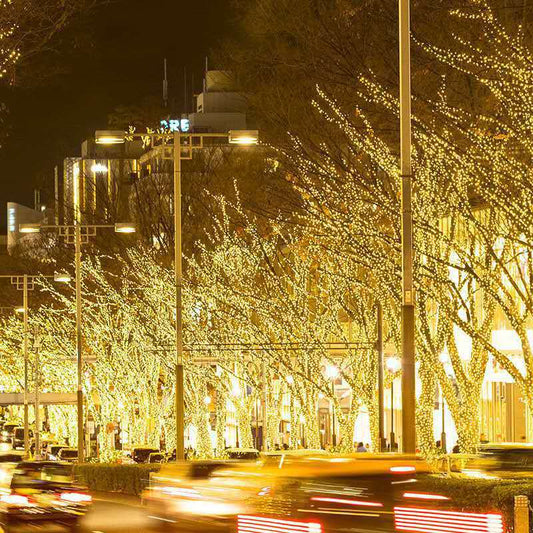 Buy LED Lighting Chain Outdoor Street Decoration Garden Lights globalswanky 03