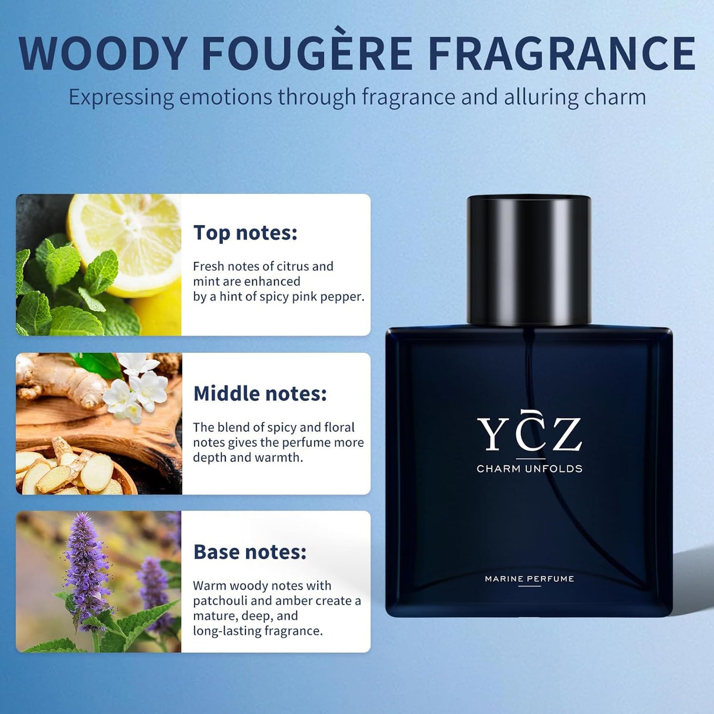 Buy Men's Cologne Perfume with Citrus Notes Fresh Daily Spray global swanky 2