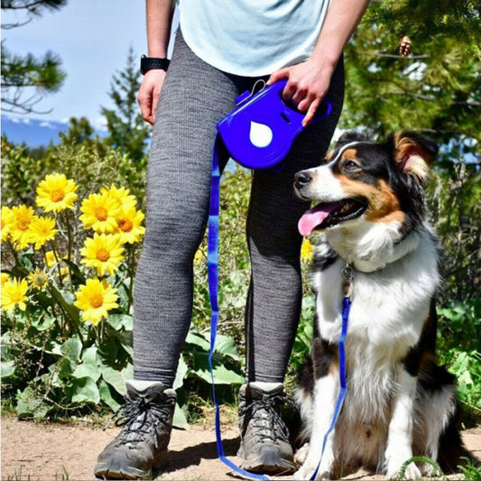 Buy Multifunctional Automatic Retractable Pet Leash Portable global swanky 1