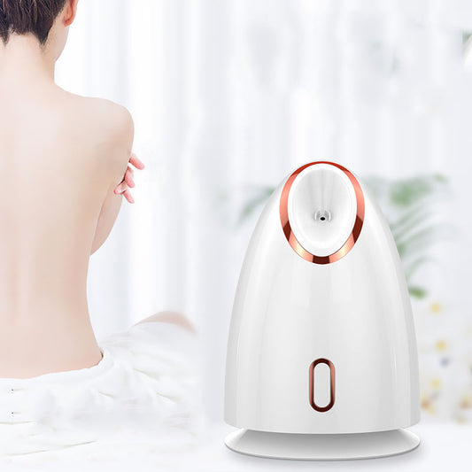 Buy Nano Thermal Spray Moisturizing Face Steamer for Skin Care global swanky 1