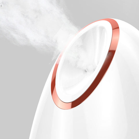 Buy Nano Thermal Spray Moisturizing Face Steamer for Skin Care global swanky 2