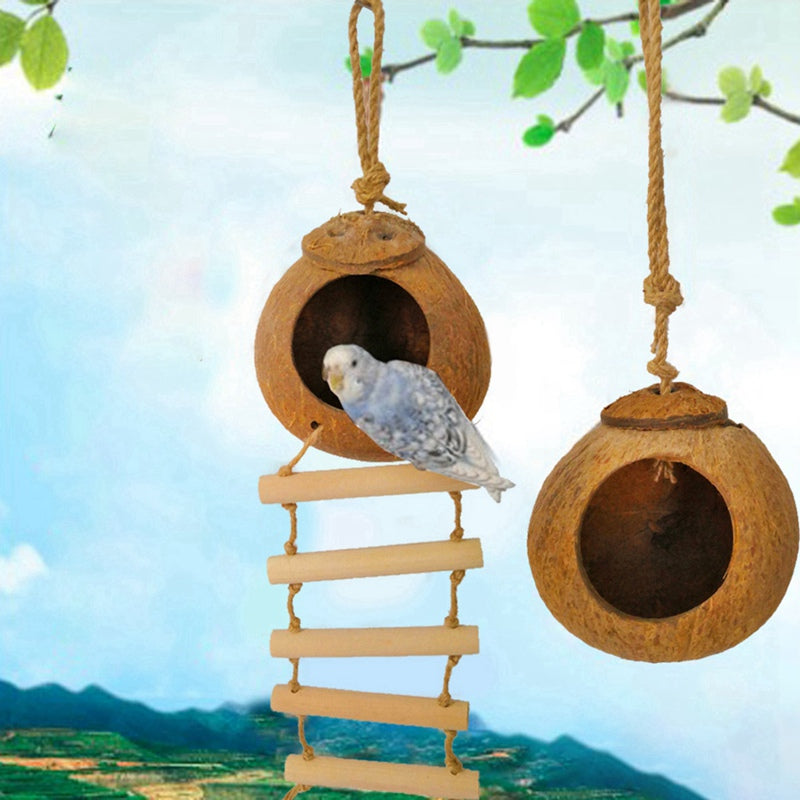 Buy Natural Coconut Shell Bird Nest for Parrots & Small Birds globalswanky 01