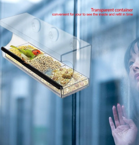 Buy New Acrylic Bird Feeder for Garden Window and Outdoor Use gobalswanky 03