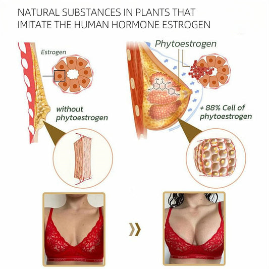 Buy Papaya Supplement – Natural Enzyme-Rich Health Supplement globalswanky 04