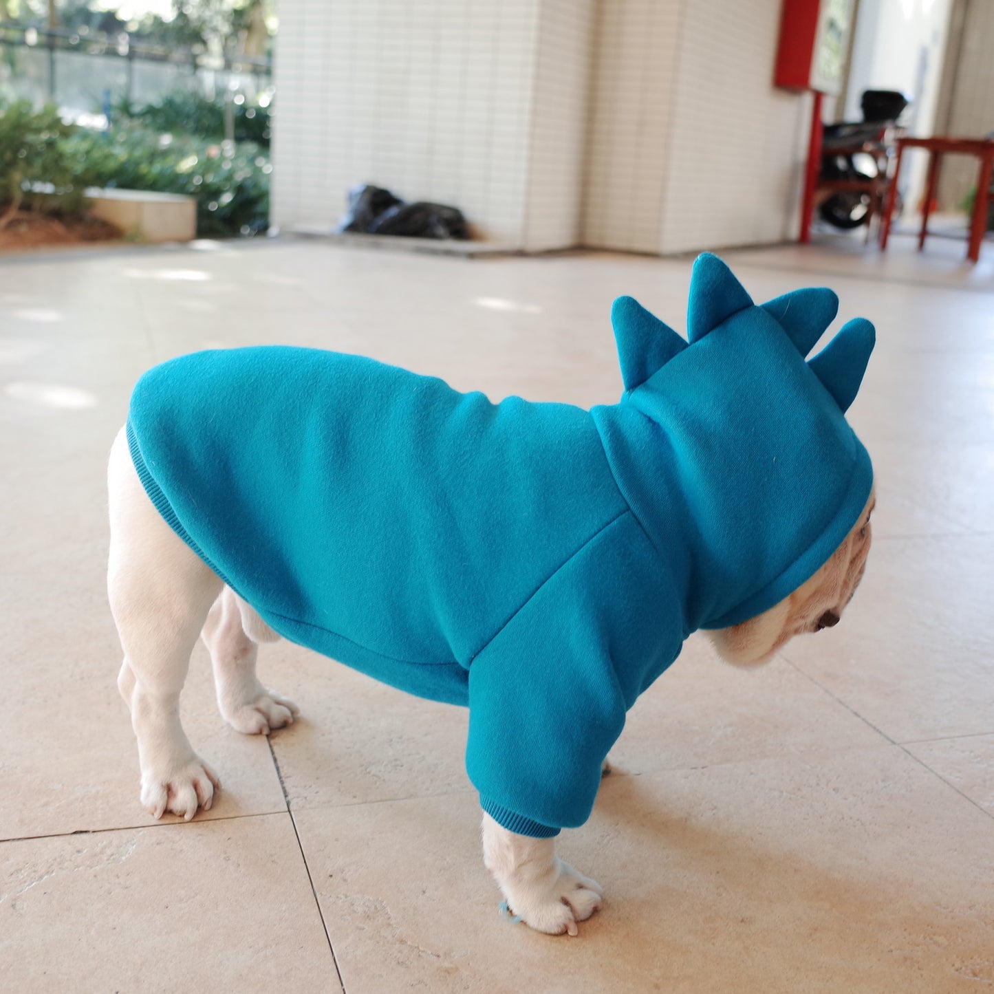 Buy Pet Apparel Fleece Solid Color Hoodie – Warm Dog Clothes globalswanky 03