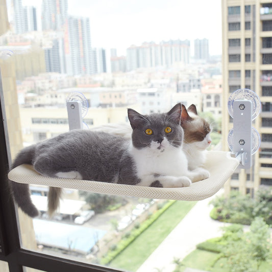 Buy Pet Cat Suction Cup Window Hammock – Comfortable Hammock global swanky 1