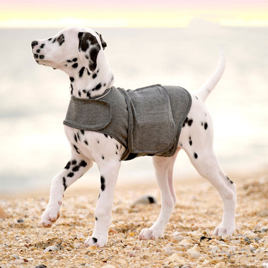 Buy Pet Dog Anxiety Jacket Warm Vest for Stress Relief & Comfort globalswanky 01