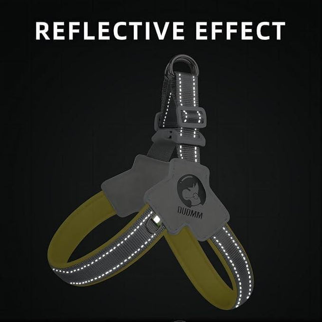 Buy Pet Dog Cat Harness with Leash Set Adjustable Reflective No-Pull global swanky 2