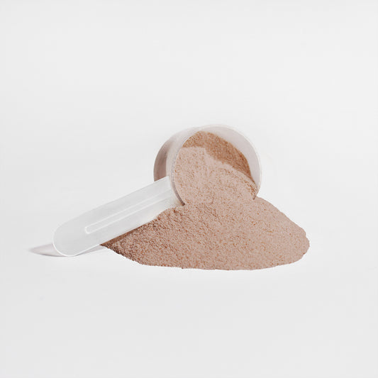 Buy Plant Protein Chocolate 21g for Muscle Recovery and Wellness global swanky 2