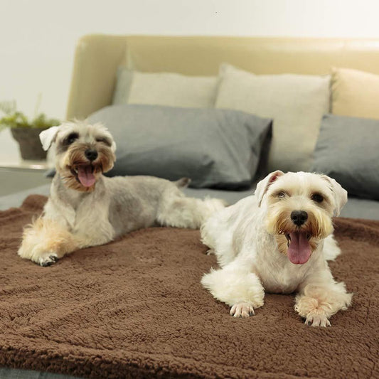 Buy Plush Pet Blanket Dog Mat Cat Mat Soft Comfortable Pet Mat global swanky 3
