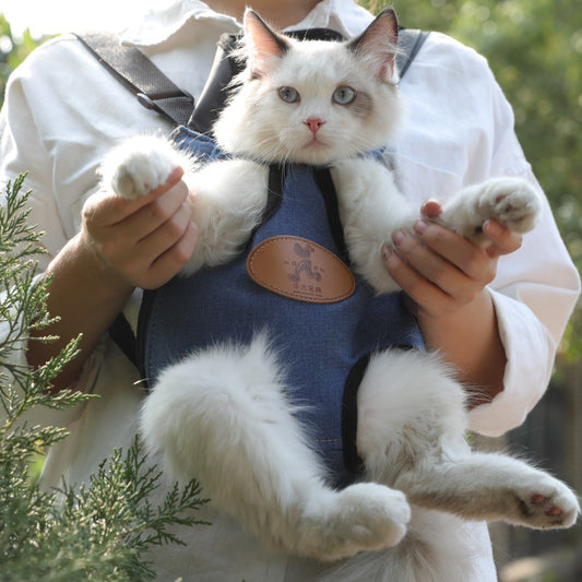 Buy Portable Cat Backpack for Spring Outing Adventures and Travel global swanky 2