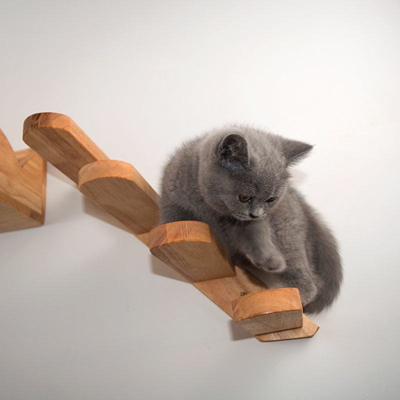 Buy Premium Dog Stairs & Steps for Small and Senior Pets Safety global swanky 1