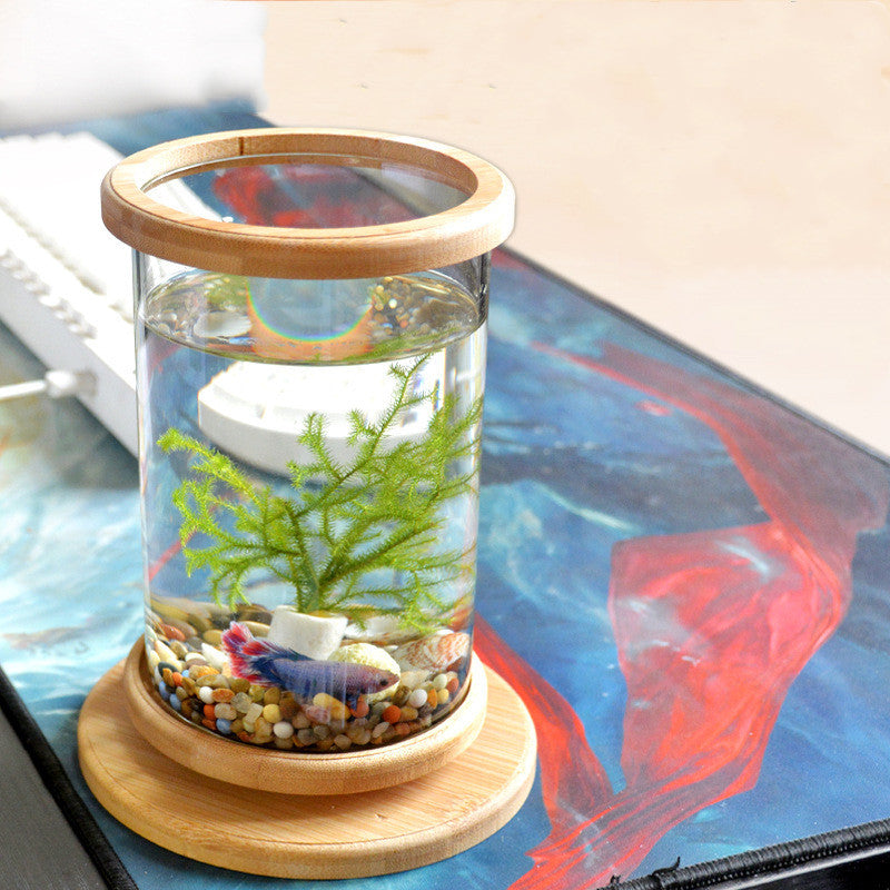 Buy Small Office Glass Aquarium with Bamboo Base Mini Fish Tank gobalswanky 02
