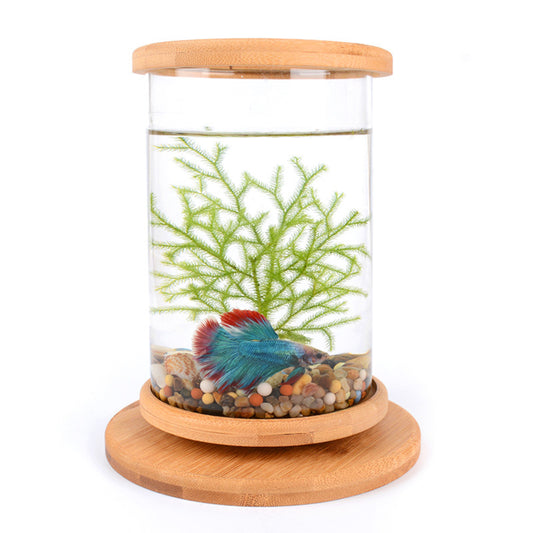 Buy Small Office Glass Aquarium with Bamboo Base Mini Fish Tank gobalswanky 03