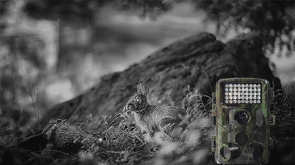 Buy Wild Hunting Camera with Motion Detection & Night Vision global swanky 2