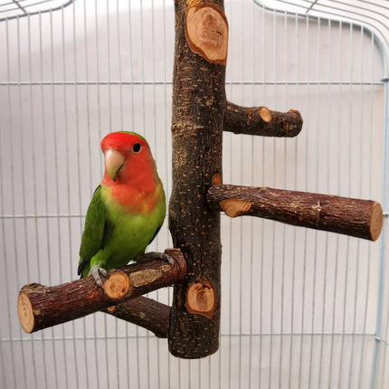 Buy Wooden Parrot Stand Pole Toy for Birds Cage Play and Rest globalswanky 01