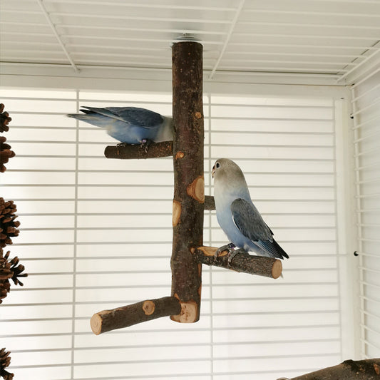 Buy Wooden Parrot Stand Pole Toy for Birds Cage Play and Rest globalswanky 02