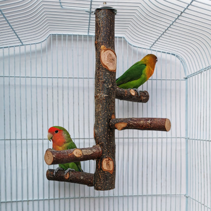 Buy Wooden Parrot Stand Pole Toy for Birds Cage Play and Rest globalswanky 03