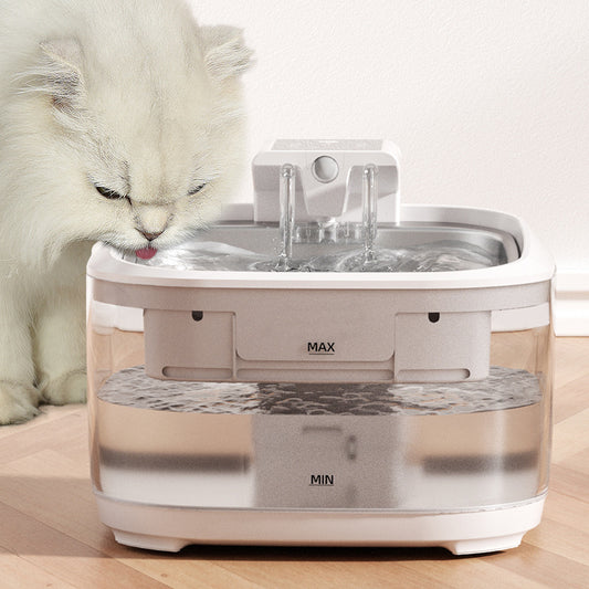 Cat Water Fountain for Fresh Drinking Water for Cats Daily Global Swanky 2