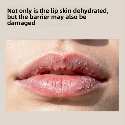 Children's Lip Balm for Soft Smooth Hydrated Lips Daily Care globalswanky 03