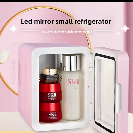 Compact Car Refrigerator for Travel Cooling and Warming global-swanky 2