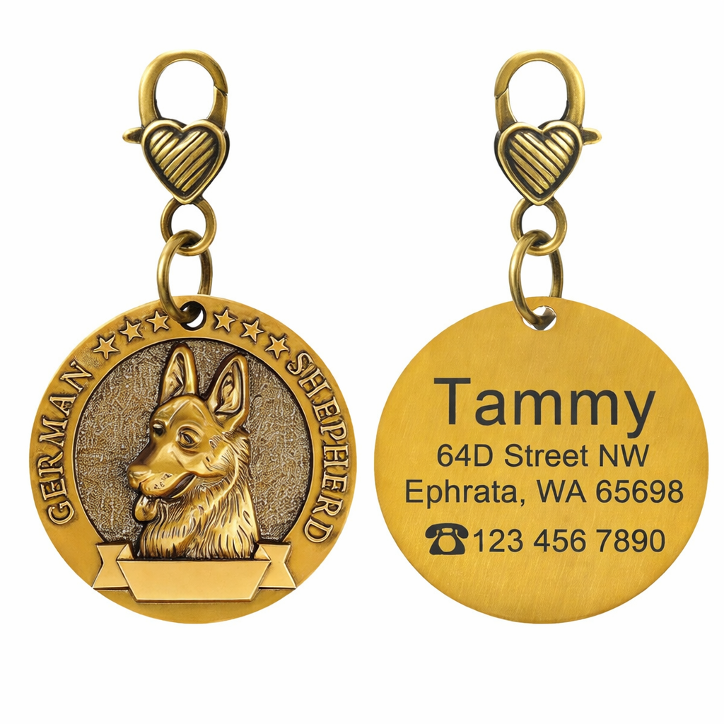 Custom Dog Identity Card Tag – Jin Mao Teddy Bronze Anti-Lost
global-swanky 01