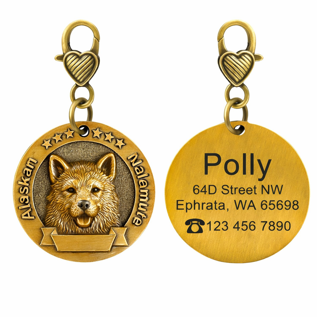 Custom Dog Identity Card Tag – Jin Mao Teddy Bronze Anti-Lost
global-swanky 03