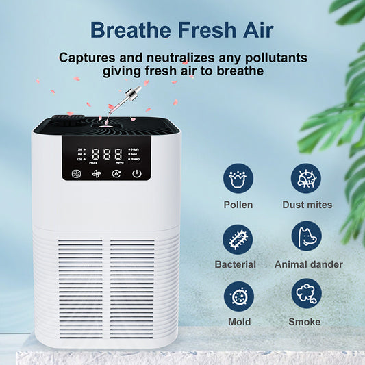 Desktop Air Purifier with HEPA Filter Aromatherapy Daily Use globalswanky 1