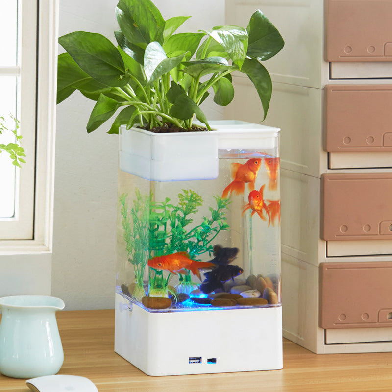 Desktop acrylic transparent fish tank Global swanky 3