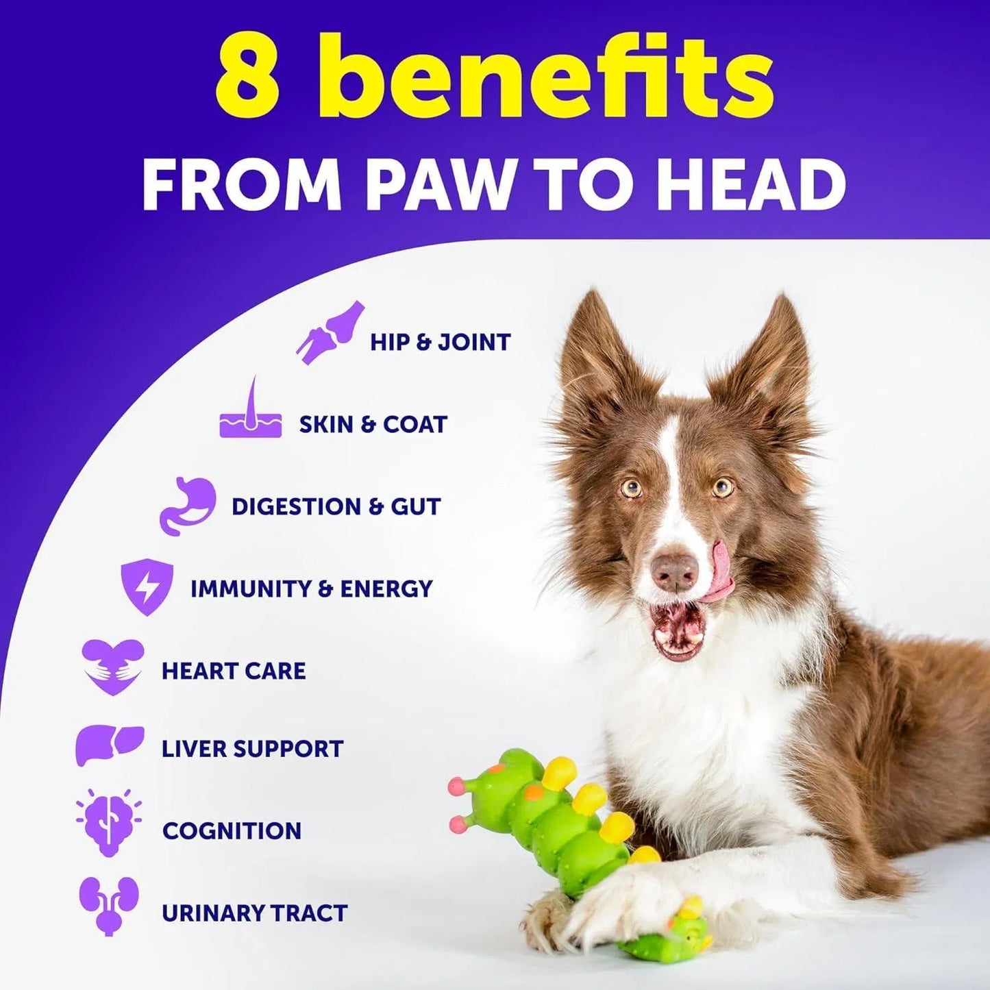Dog Multivitamin Chewable – 20 in 1 Dog Vitamins Chews Global swanky 2