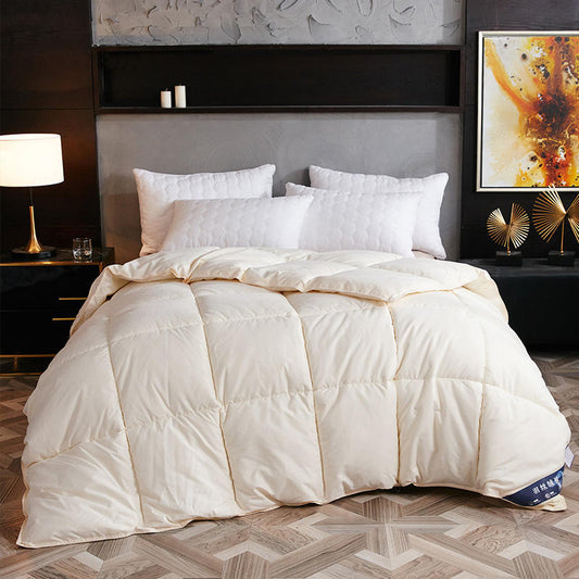Down Duvet, Winter Duvet, Goose Down Duvet Core, Air Conditioner globalswanky 03