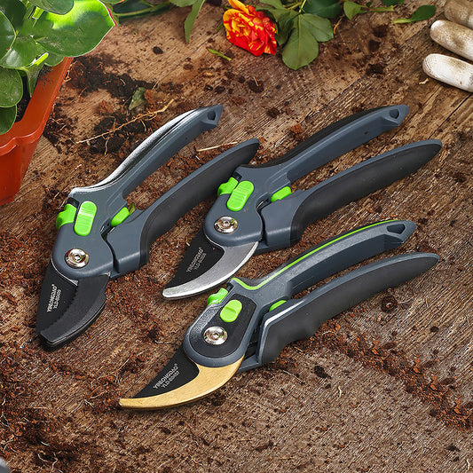 Flower Shears – Precision Garden Shears for Plants & Flowers
global-swanky 1