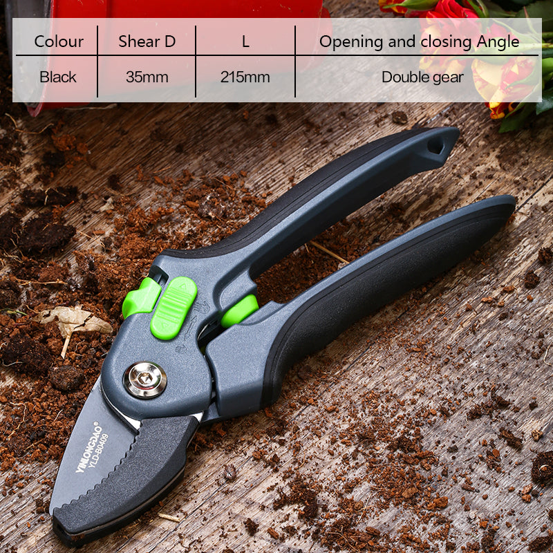 Flower Shears – Precision Garden Shears for Plants & Flowers
global-swanky 2