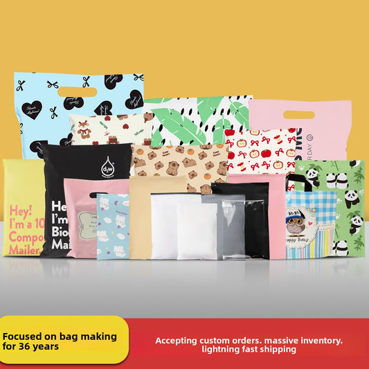 Frosted Zipper Clothing Packaging Bag with Waterproof Design Global Swanky 02