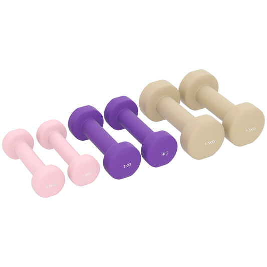 Hantelset 6er Set Hanteln Mit Koffer für Zuhause Fitness globalswanky 01